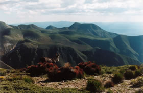 La sierra de Catorce.