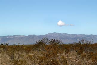 Desierto de Wirikuta con vista a la sierra de Catorce.